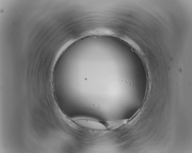 X0000073921248200609011801