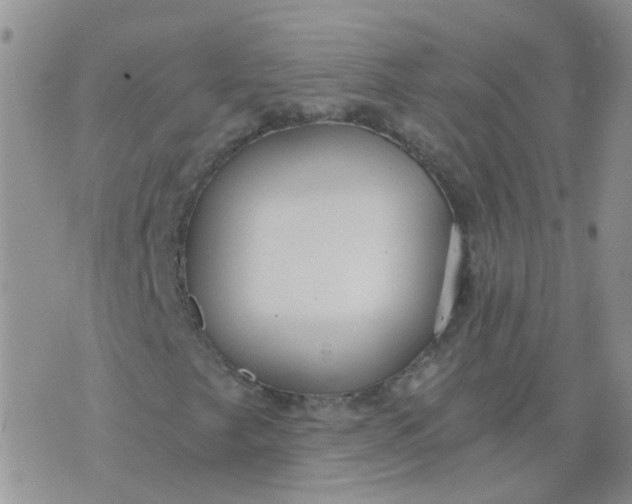 X0000073921249200609011800