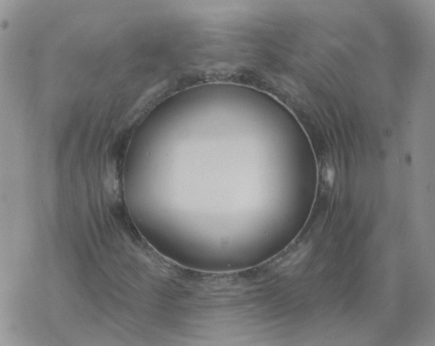 X0000073921252200609011800