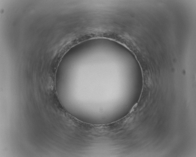 X0000073921253200609011800