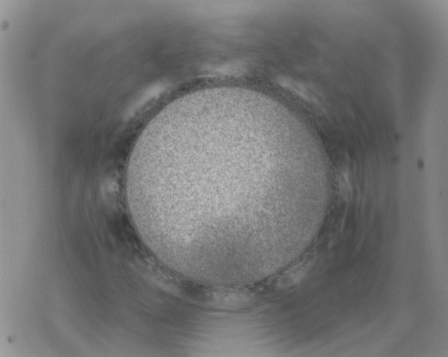 X0000073921254200609011800