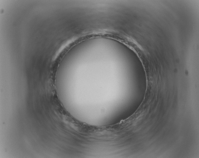 X0000073921256200609011800