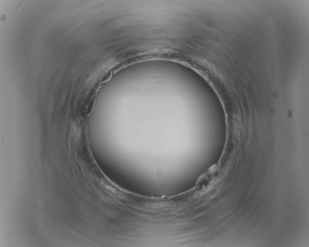 X0000073921257200609011800