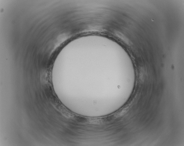 X0000073921258200609011800