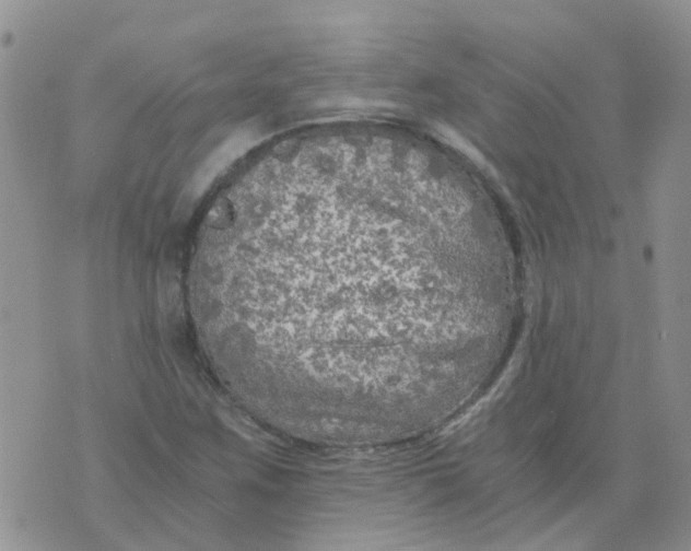 X0000073921259200609011800