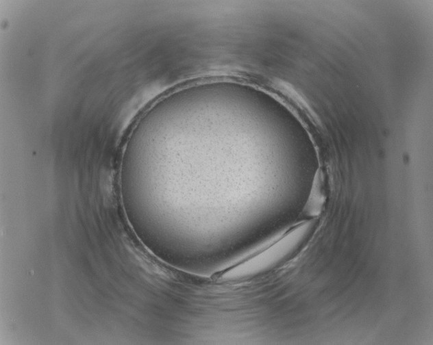 X0000073921260200609011800