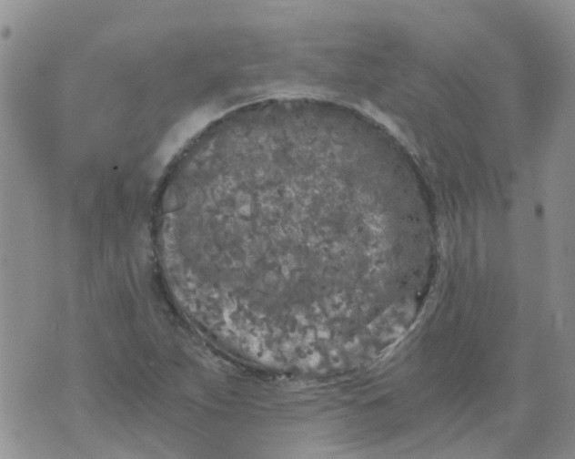 X0000073921263200609011800