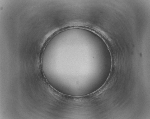 X0000073921264200609011800