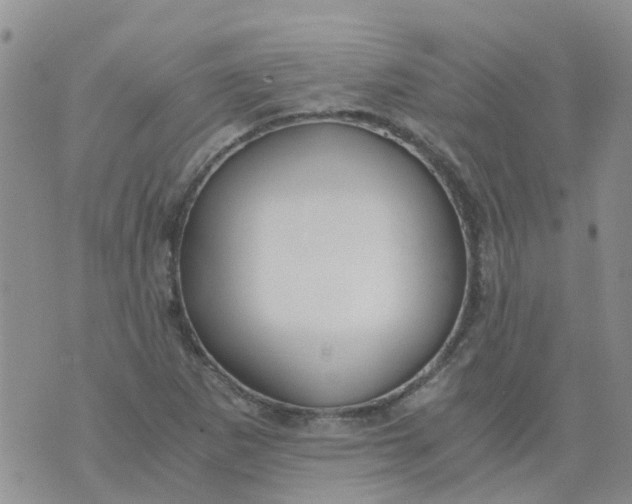 X0000073921265200609011800