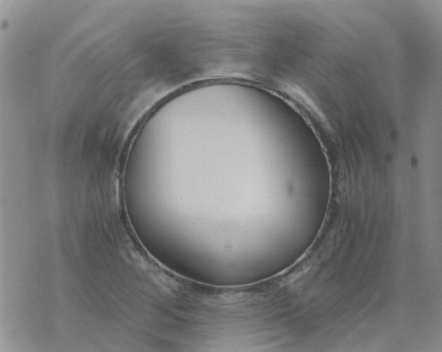 X0000073921268200609011800