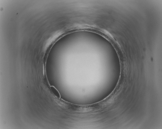 X0000073921269200609011800