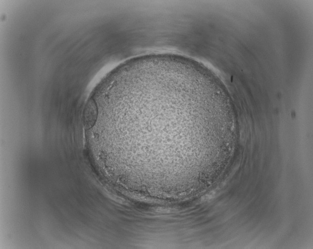 X0000073921271200609011800