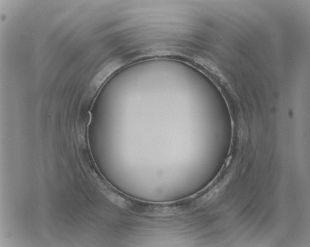 X0000073921273200609011800