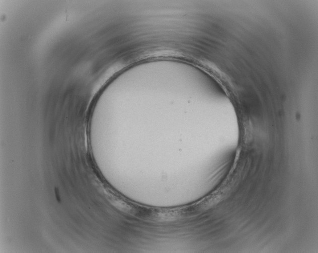 X0000073921274200609011800