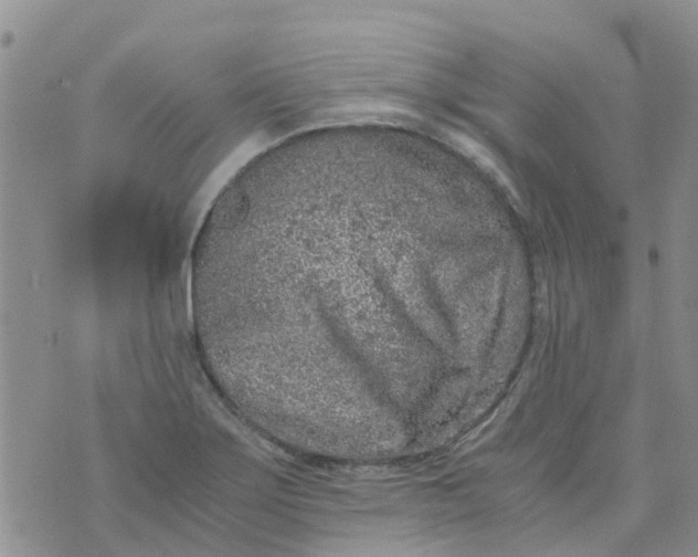 X0000073921275200609011800