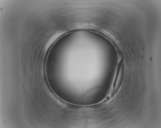 X0000073921277200609011800