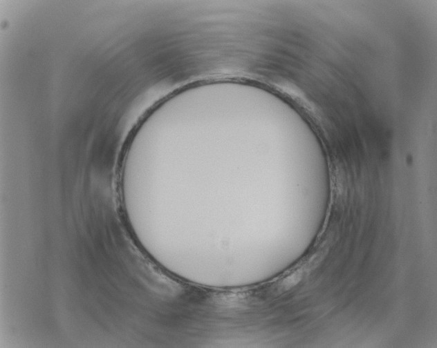 X0000073921278200609011800