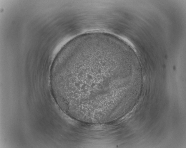 X0000073921279200609011800