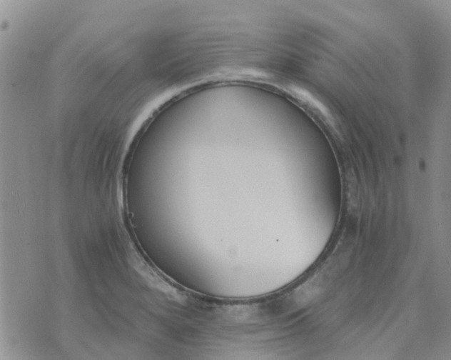 X0000073921280200609011800