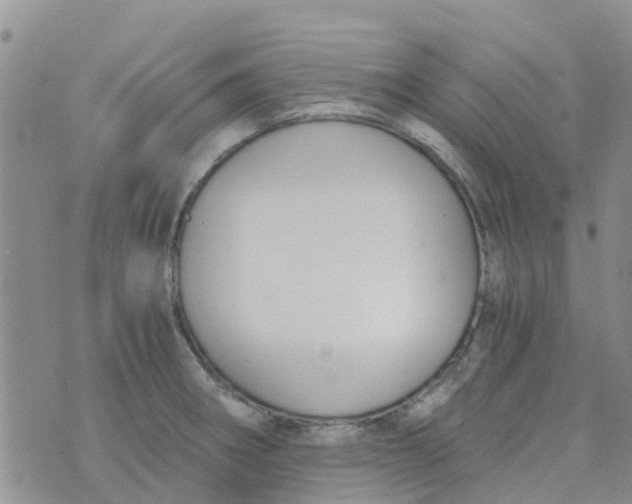 X0000073921282200609011800