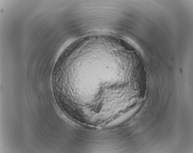 X0000073921283200609011800