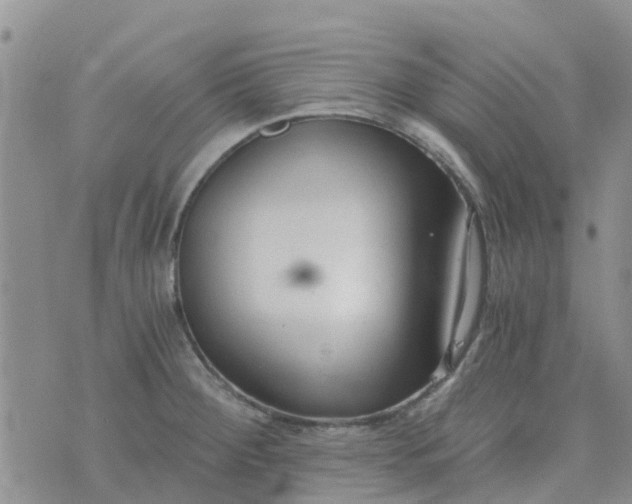 X0000073921284200609011800