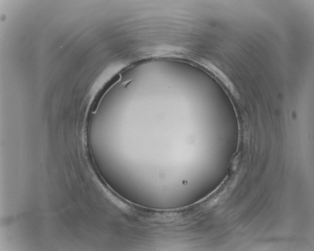 X0000073921285200609011800