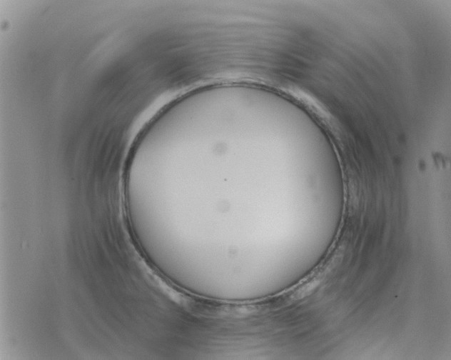 X0000073921286200609011800