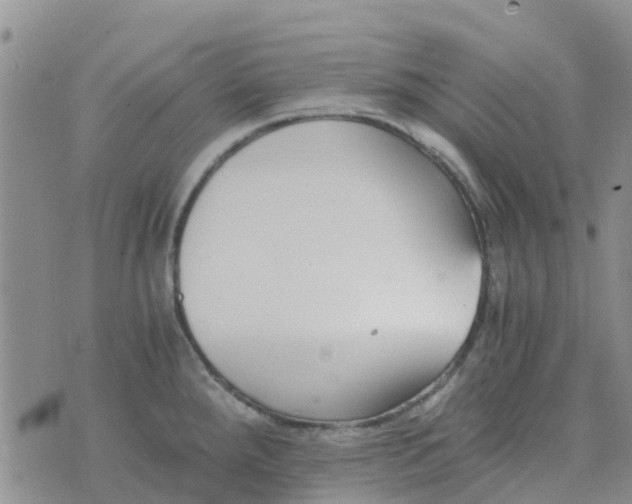 X0000073921288200609011800