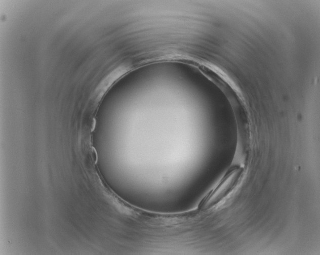 X0000073921289200609011800