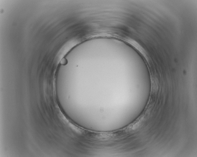 X0000073921290200609011800