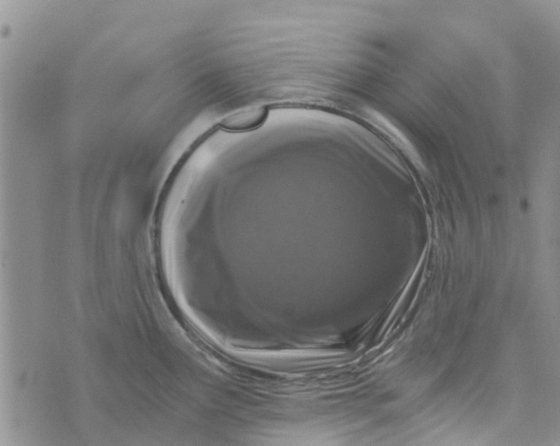 X0000073921291200609011800