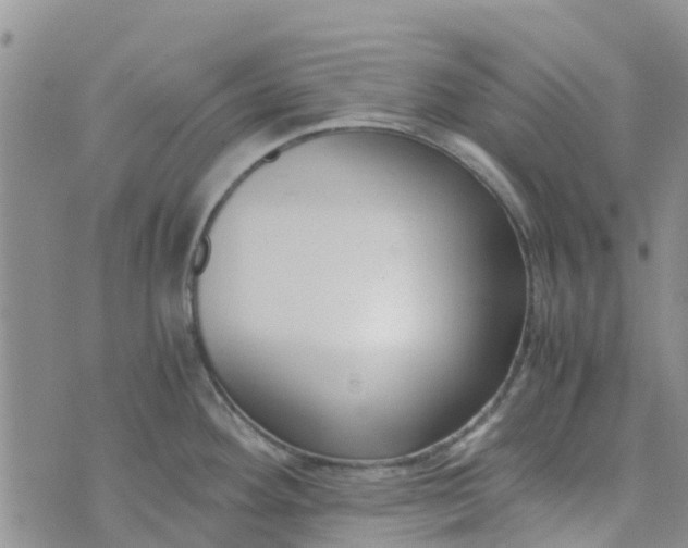 X0000073921292200609011800