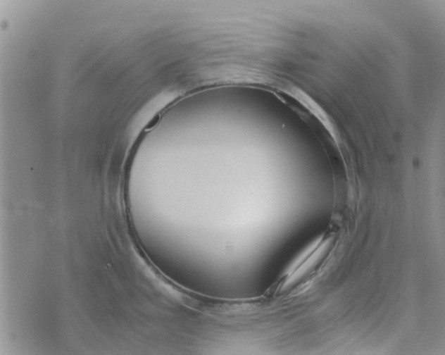 X0000073921293200609011800