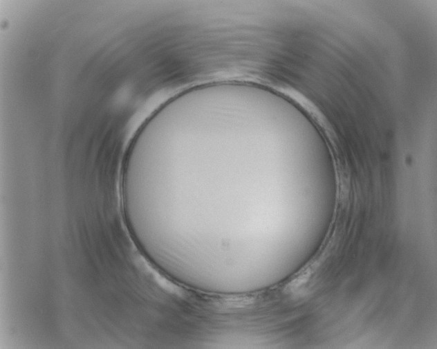 X0000073921294200609011800