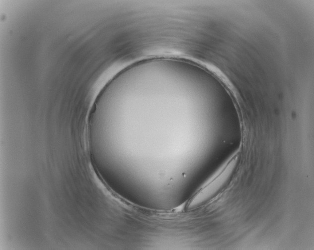 X0000073921295200609011800