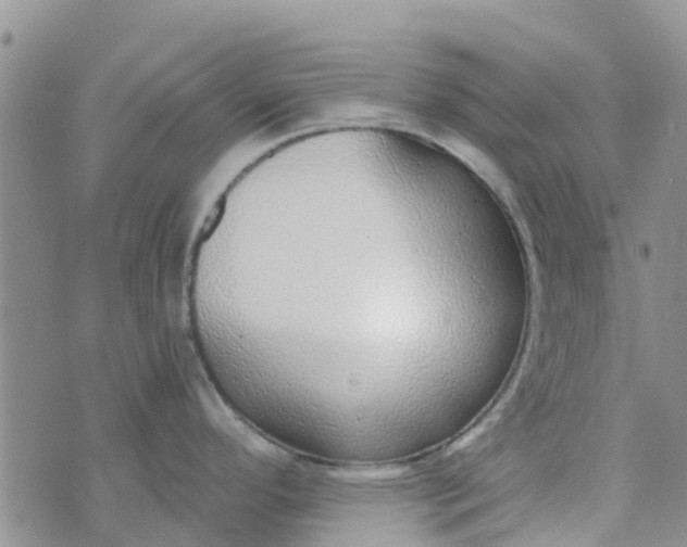 X0000073921296200609011800