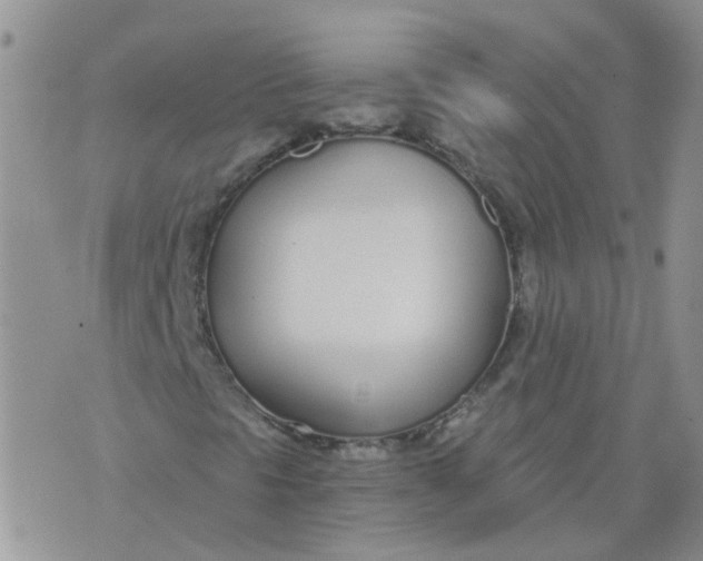 X0000073921297200609011759