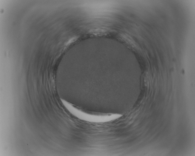 X0000073921298200609011759