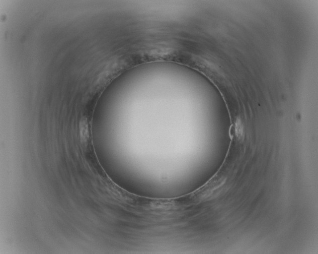 X0000073921299200609011759