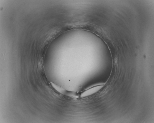 X0000073921300200609011759