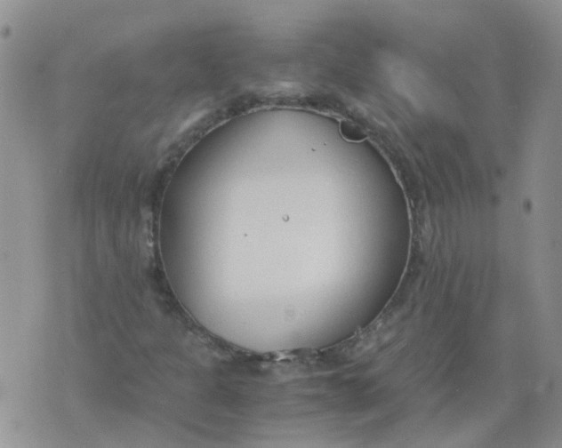 X0000073921301200609011759