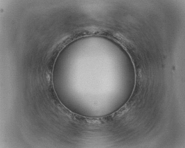 X0000073921302200609011759