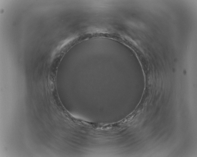 X0000073921303200609011759