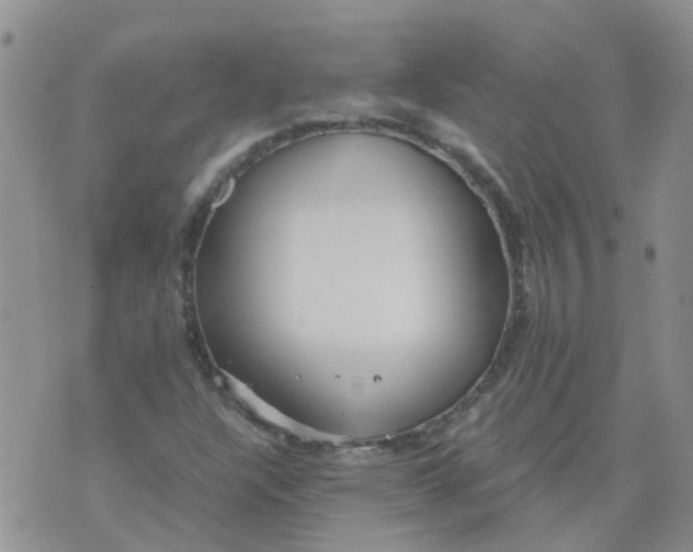 X0000073921304200609011759