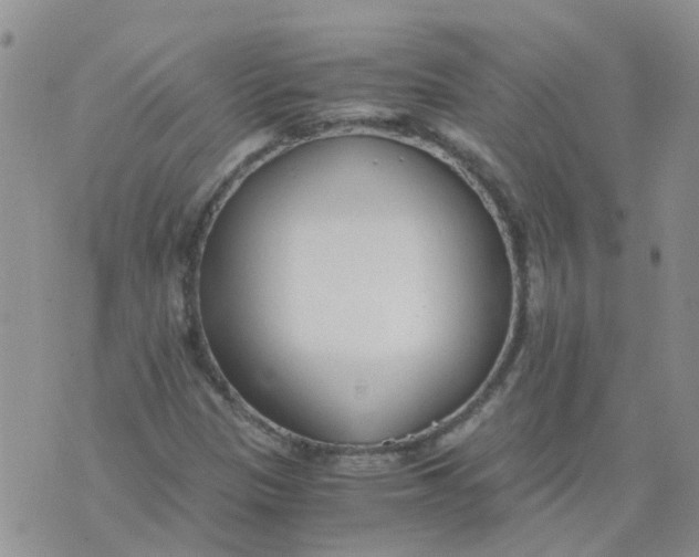 X0000073921305200609011759