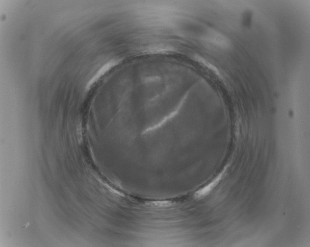 X0000073921306200609011759