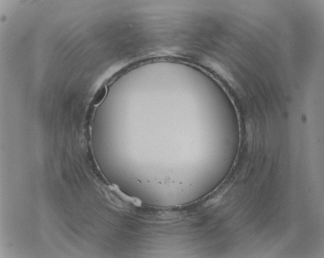 X0000073921308200609011759