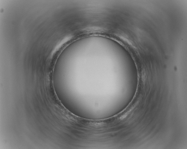 X0000073921309200609011759