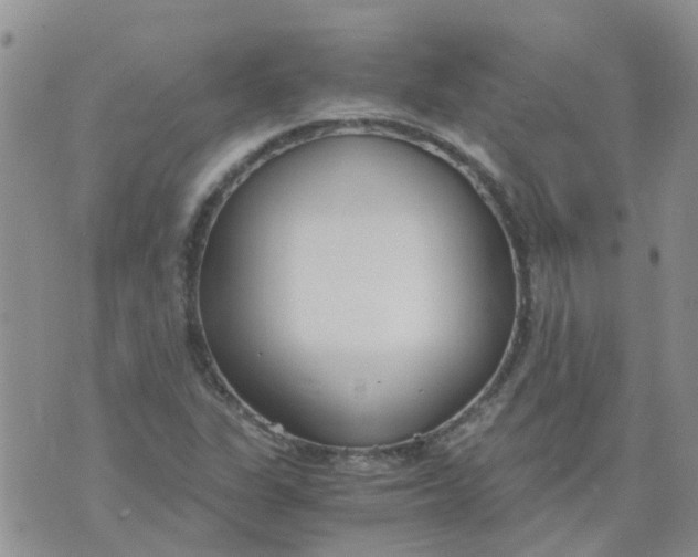 X0000073921311200609011759